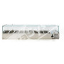 Vetrina Refrigerata per Pizzeria cm 180x33x43,5