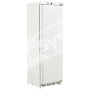 Armadio Frigorifero Professionale -18°-22° in Lamiera Verniciata e Abs 340 Lt EF400